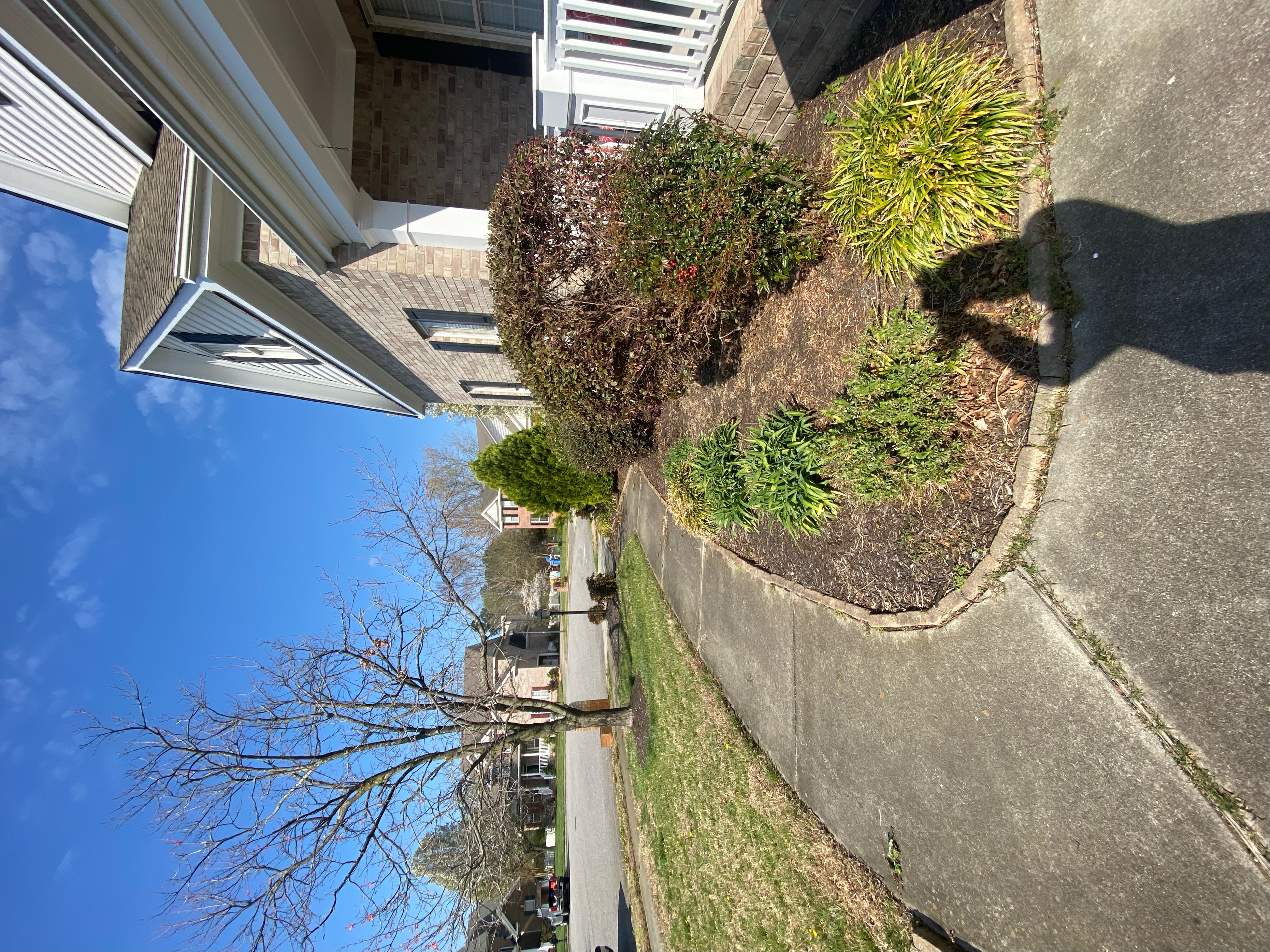 Total Lawncare project 61