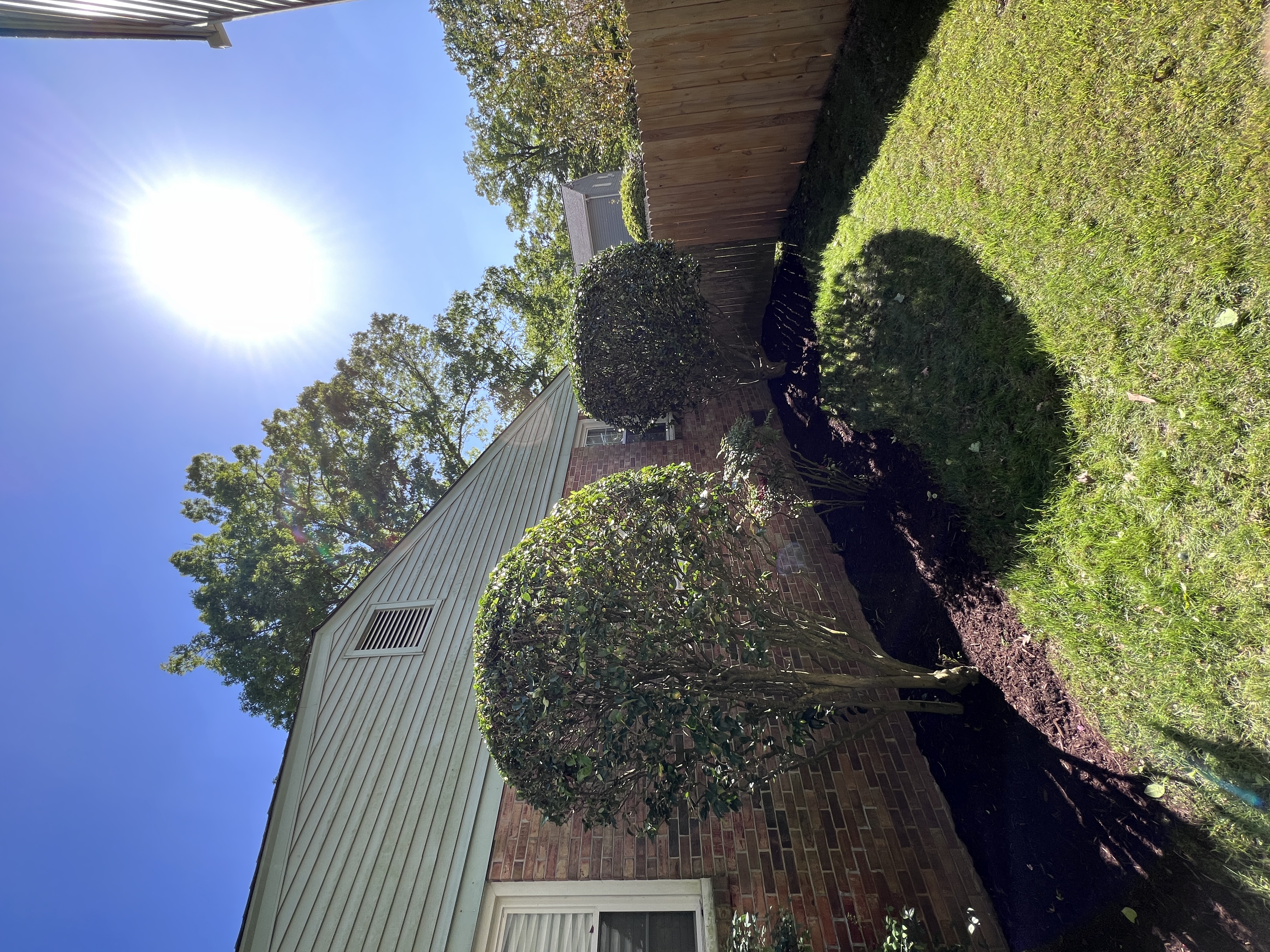 Total Lawncare project 157