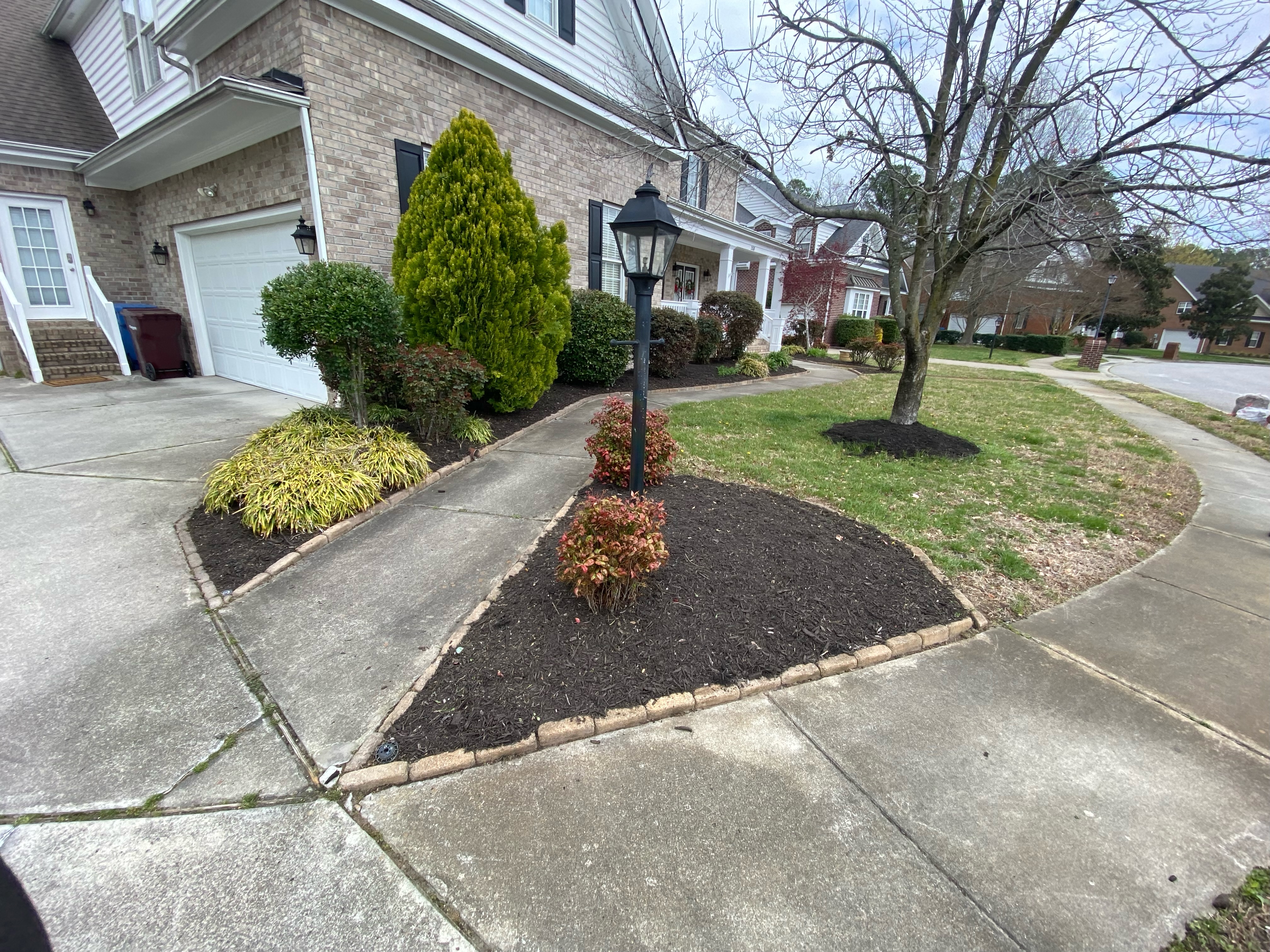 Total Lawncare project 69