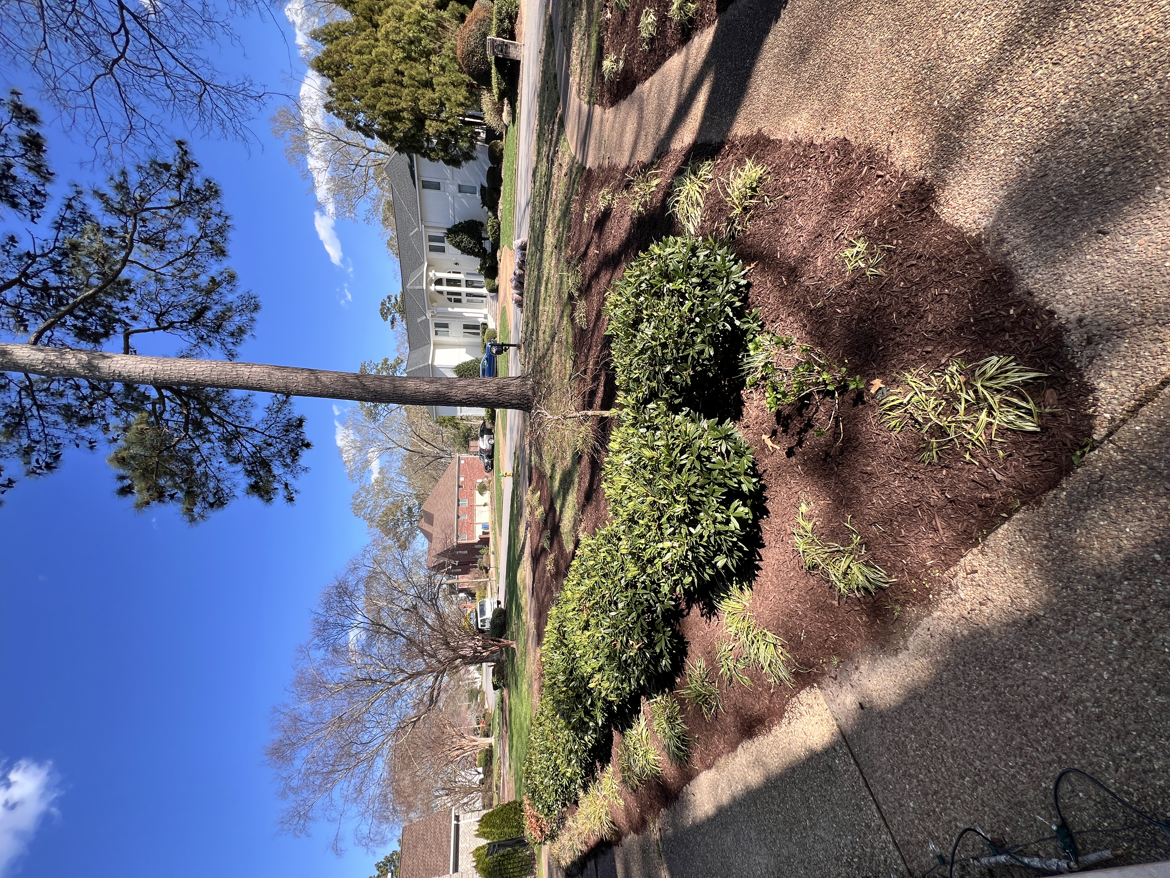 Total Lawncare project 21