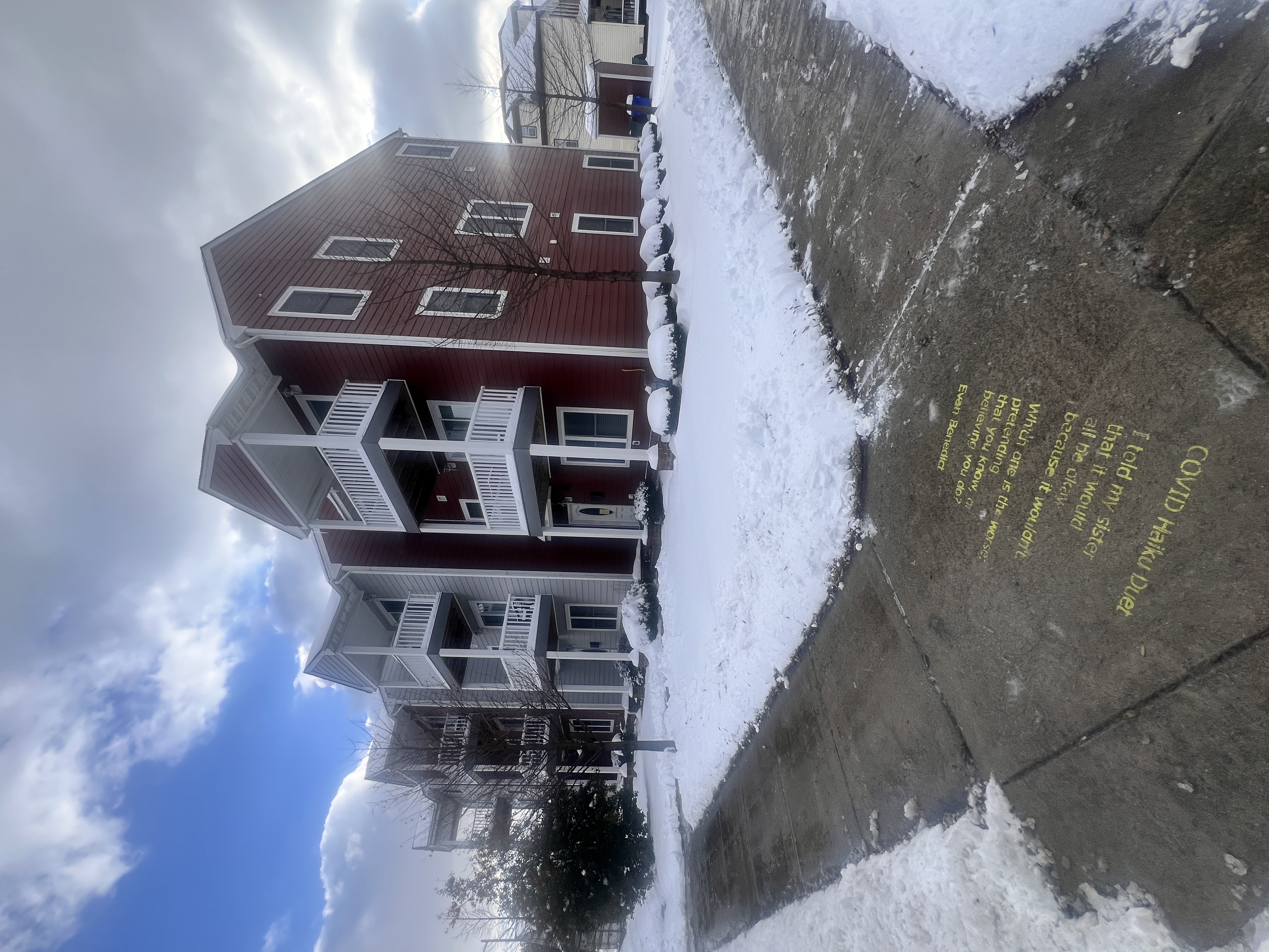 Total Lawncare project 82